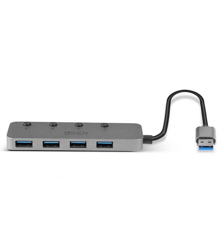 Lindy 43309 hub di interfaccia USB 3.2 Gen 1 (3.1 Gen 1) Type-A 5 Mbit/s Grigio