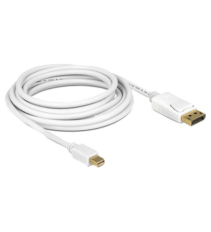 Kabel mini DisplayPort  DisplayPort, Adapter