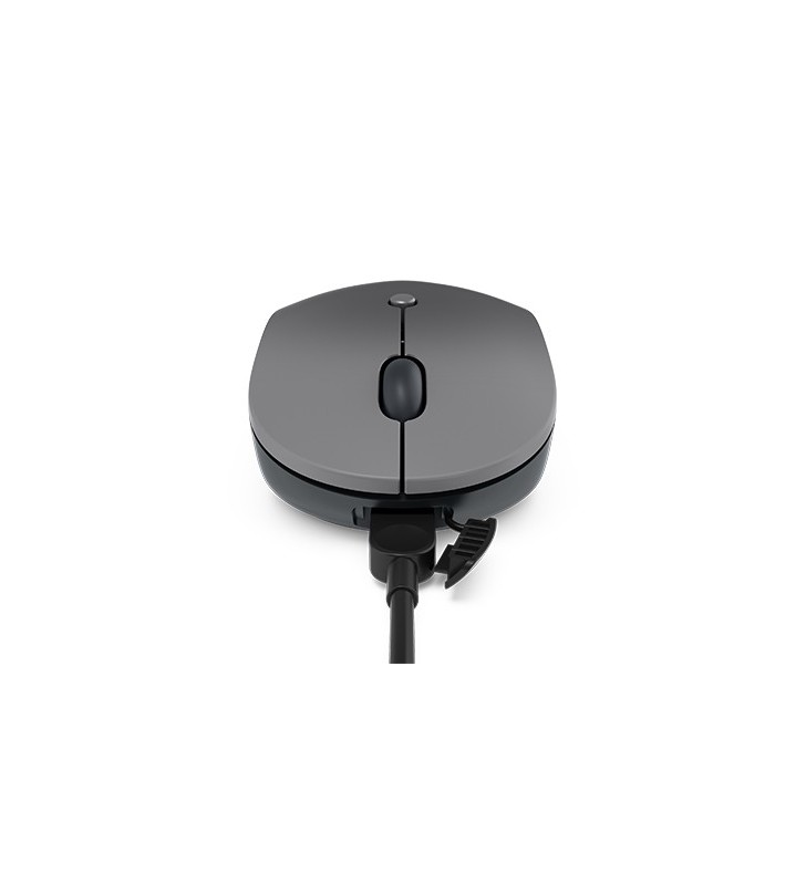 Lenovo Go USB-C Wireless mouse Ambidestro Wi-Fi Blue LED 2400 DPI