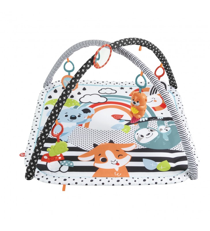 Fisher-Price HBP41 palestra per bambino e tappeto di gioco Multicolore Palestrina a tappeto per bambino