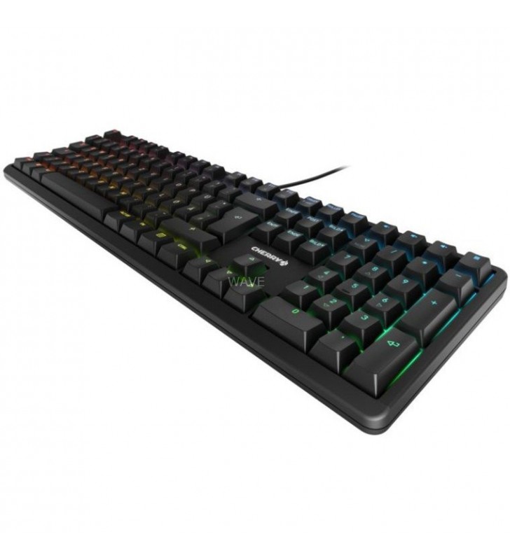 G80-3000N RGB, Tastatur
