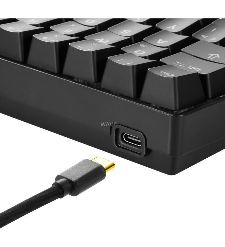 SKILLER SGK50 S4, Gaming-Tastatur