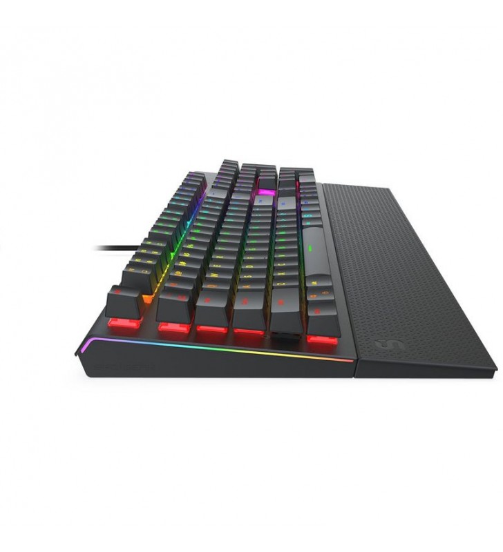 GK650K Omnis, Gaming-Tastatur