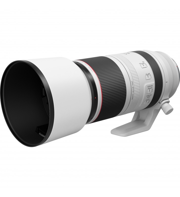 Canon Obiettivo RF 100-500mm F4.5-7.1L IS USM