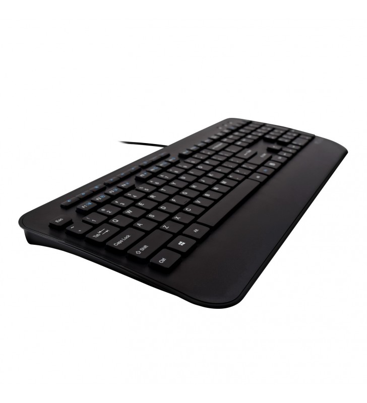 V7 CKU300IT tastaturi USB QWERTY Italiană Negru
