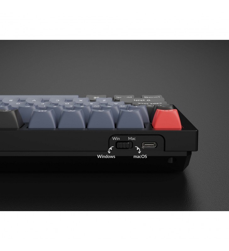 Q6 Knob, Gaming-Tastatur