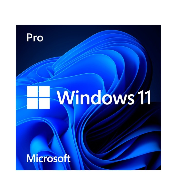 Windows 11 Pro, Betriebssystem-Software
