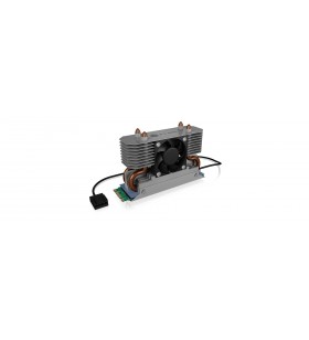 ICY BOX IB-M2HSF-702 Unità allo stato solido Dissipatore di calore/Radiatore 3 cm Argento 1 pz