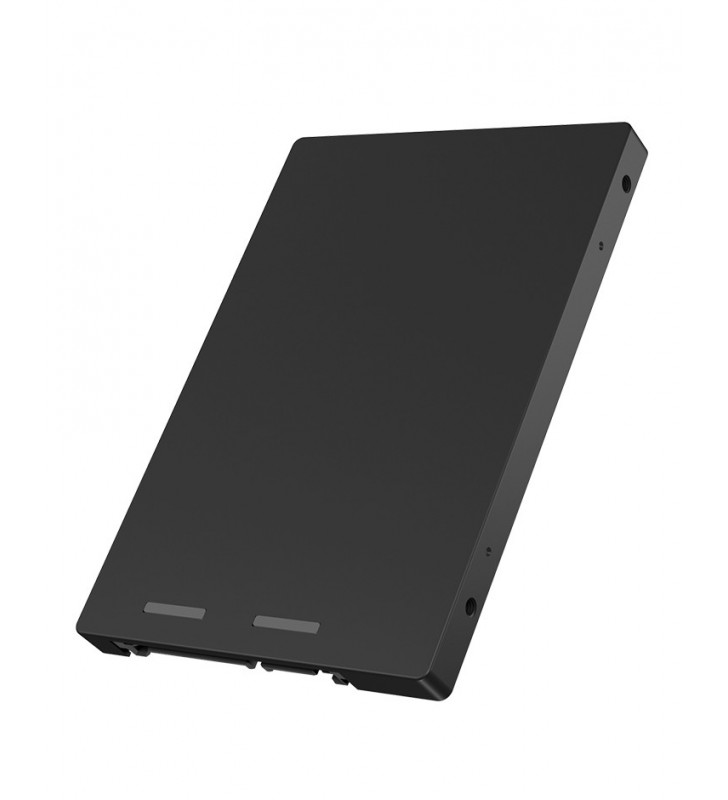 ICY BOX IB-M2S253 Box esterno SSD Nero M.2