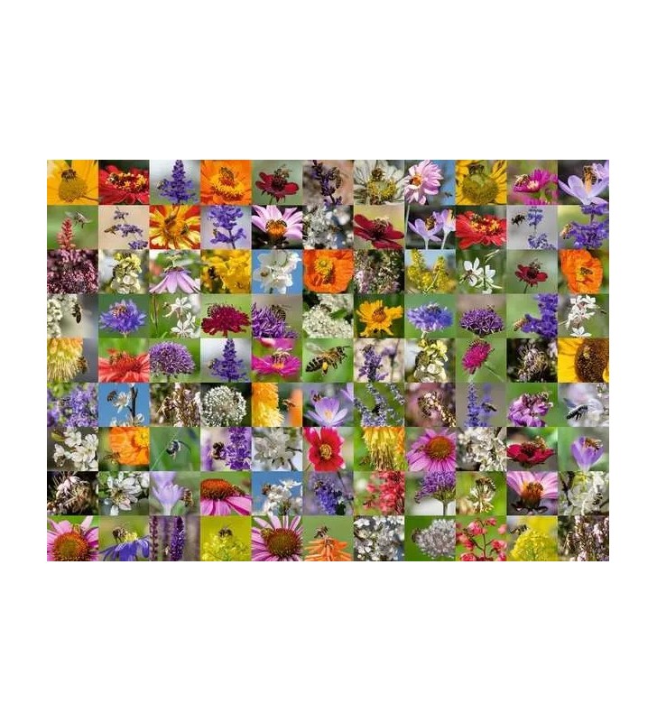 Ravensburger 17386 puzzle 1000 pz Flora e fauna