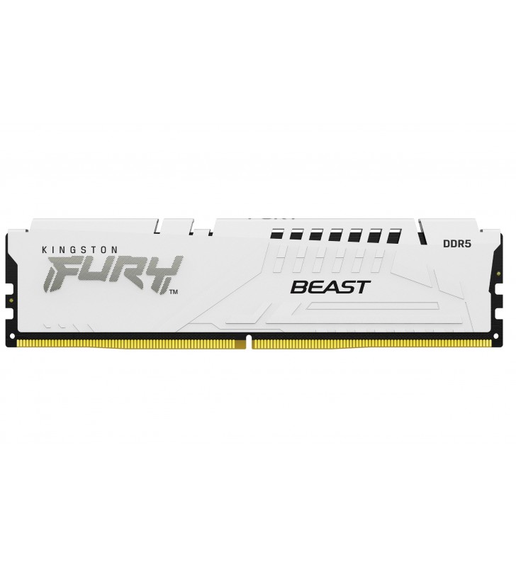 Kingston Technology FURY 16 GB 6000 MT/s DDR5 CL36 DIMM Beast White EXPO