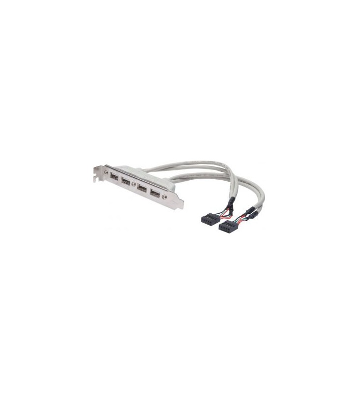 DIGITUS AK-300304-002-E Slot Bracket Cable USB 2.0 HighSpeed Type 2xIDC (5pin)/4xUSB A M/F grey 0,25m