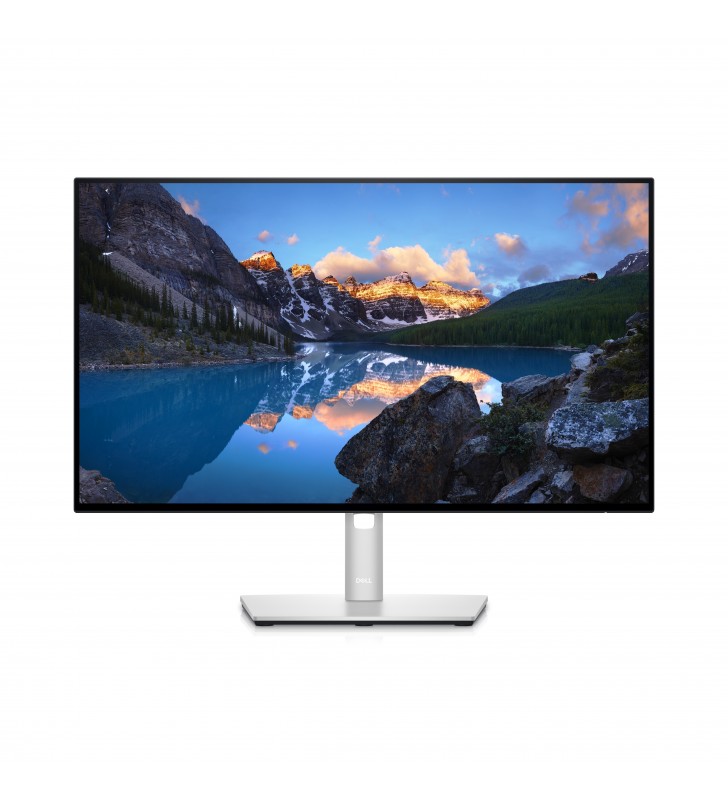 Dell UltraSharp 24 Monitor - U2422H C 60.47cm (23.8")