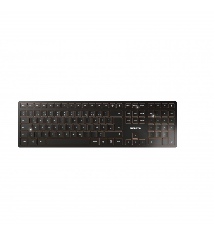 CHERRY DW 9100 SLIM/KEYBOARD AND MOUSE SET BLACK-BRO